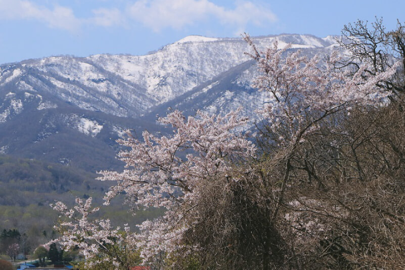 残雪がのこる春の積丹岳