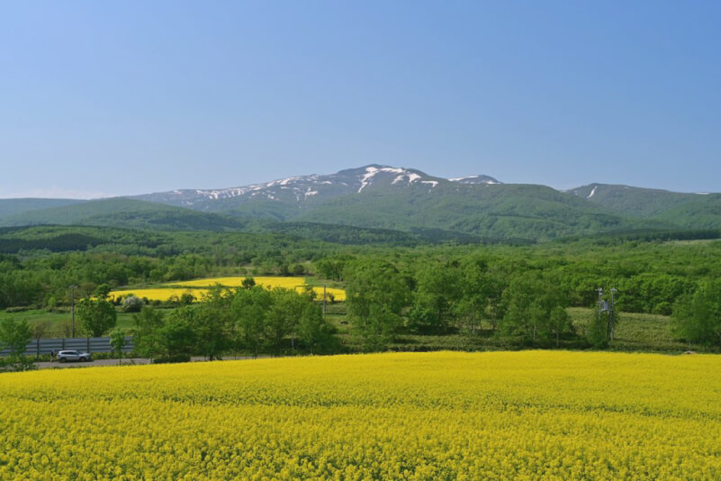 初夏の積丹岳