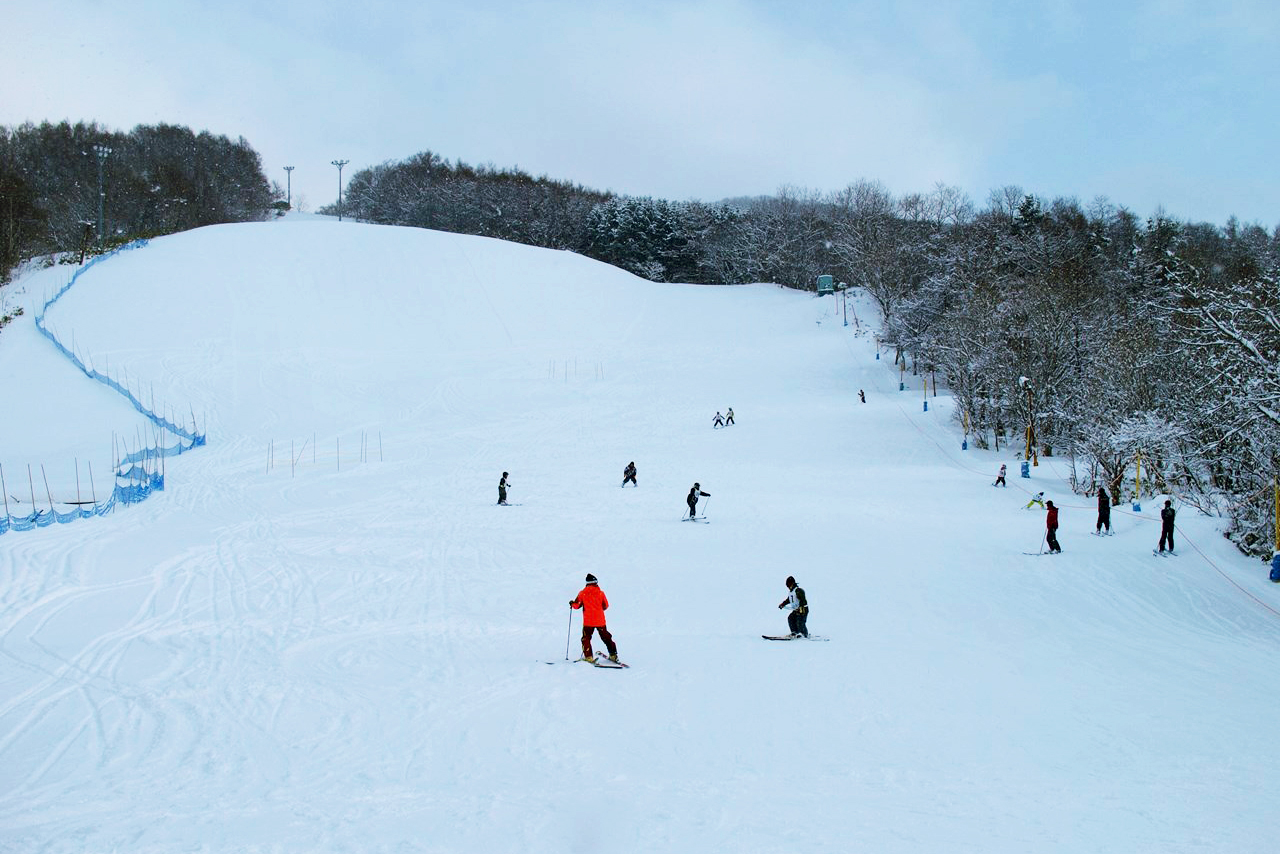 積丹町野外スポーツ林スキー場